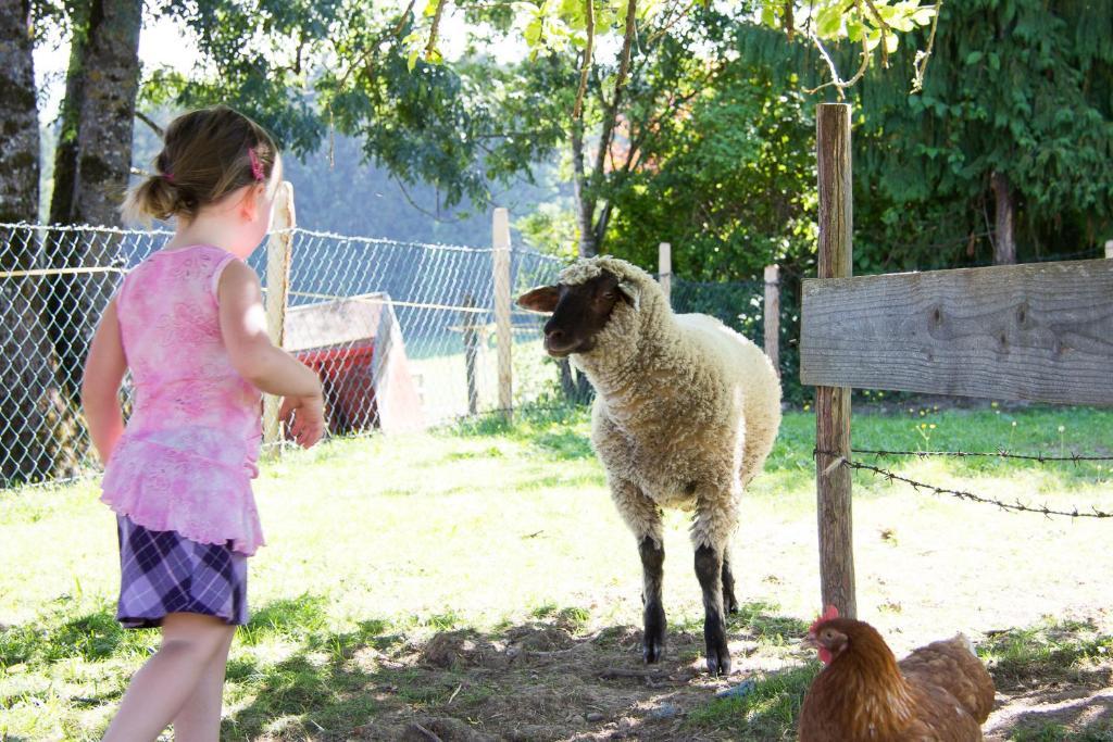 ホテル Reisslerhof グレーブミング エクステリア 写真